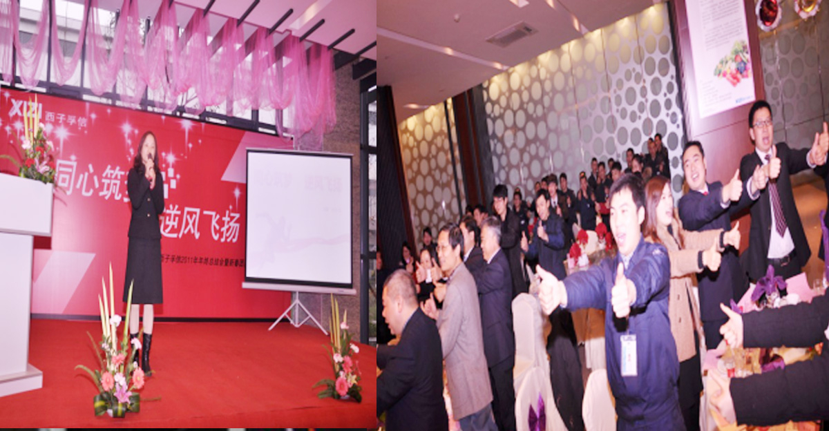 熱烈慶祝2016年表彰大會(huì)圓滿舉辦
